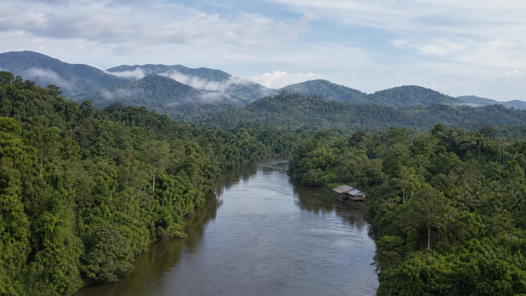 A winding river through the tropical rainforest of Kalimantan