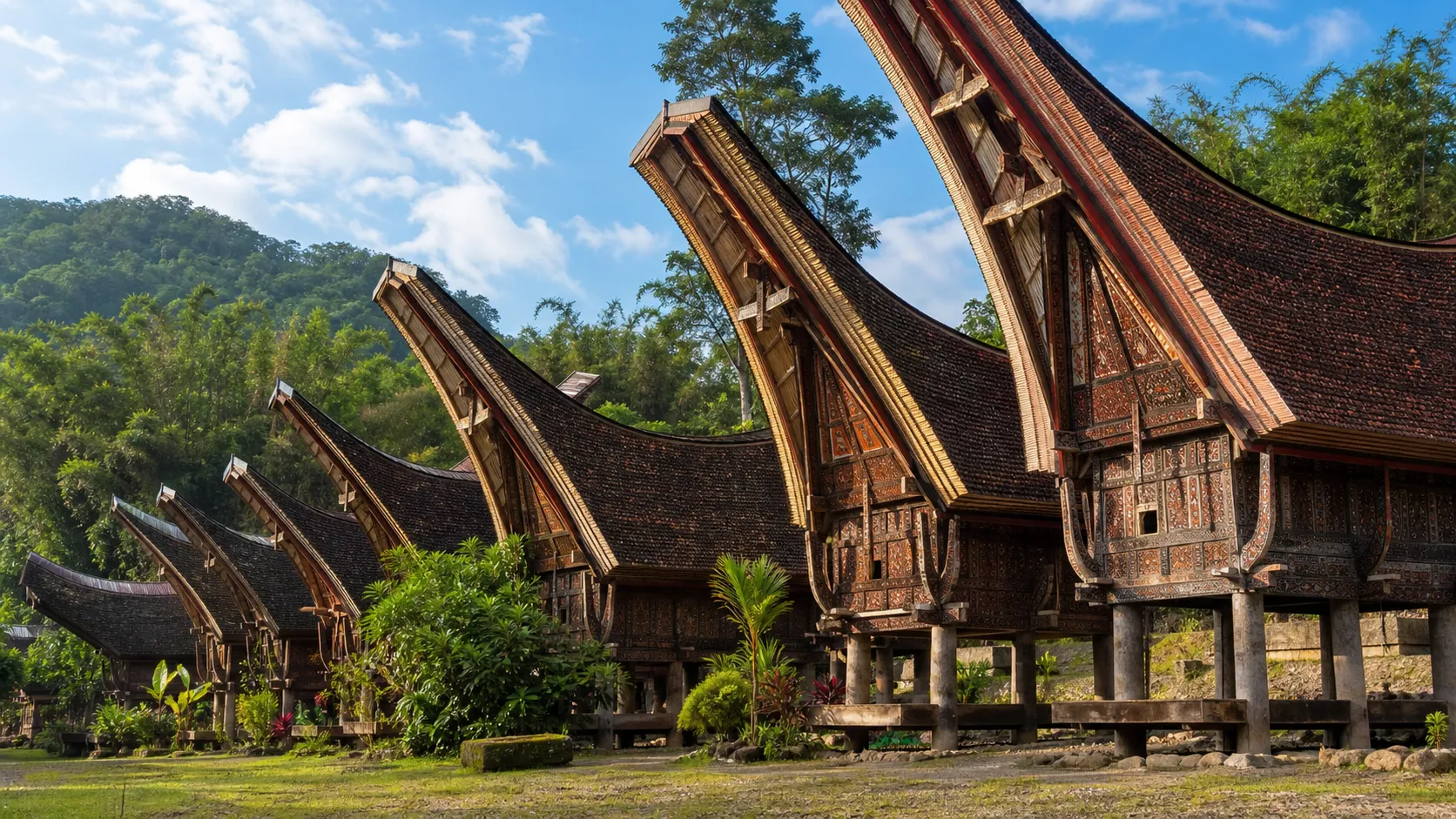 Traditional Torajan Tongkonan houses in the Sulawesi highlands